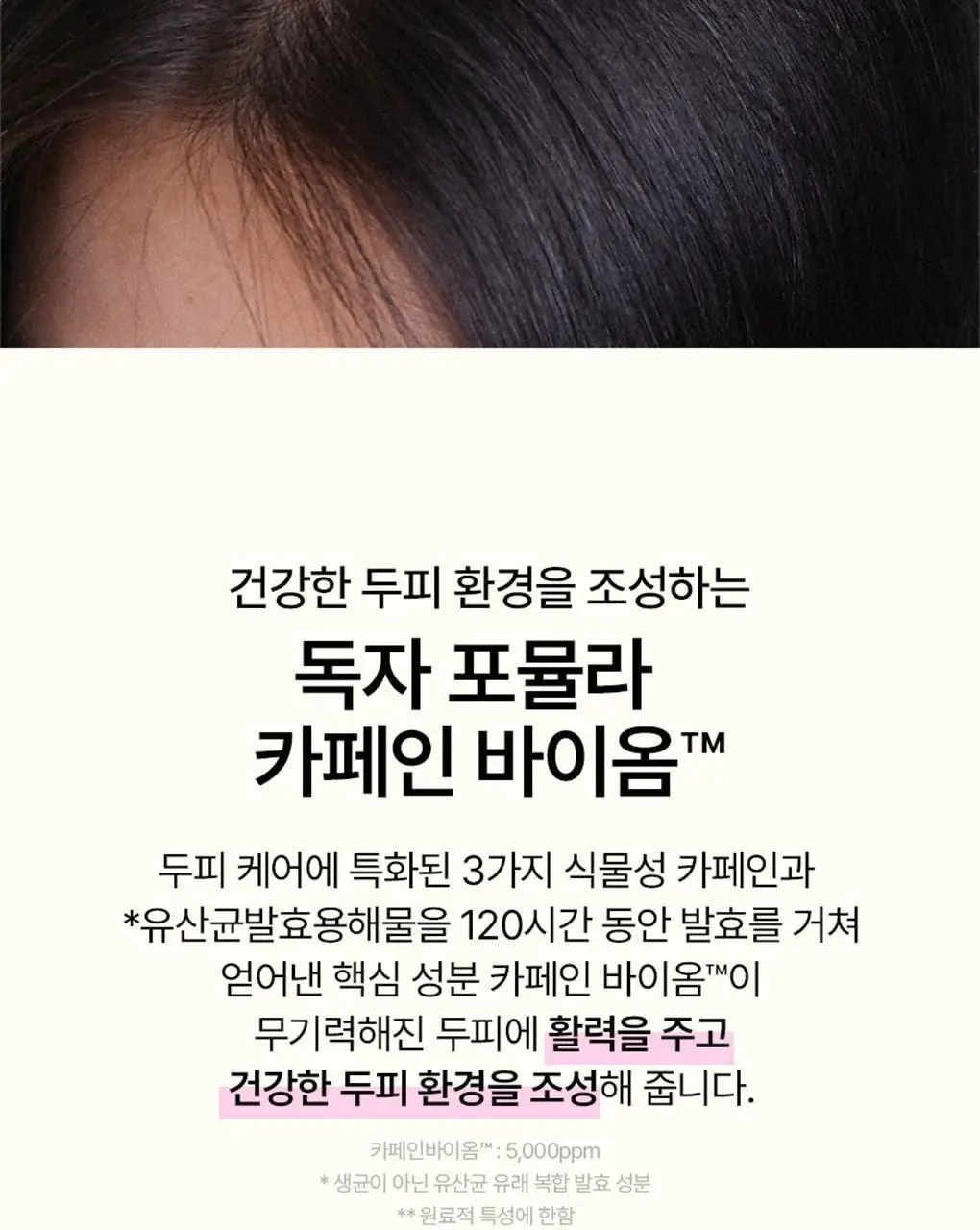 [피지컨트롤/두피청정]모레모 카페인바이옴 샴푸 지성용 495ml 상세페이지 7